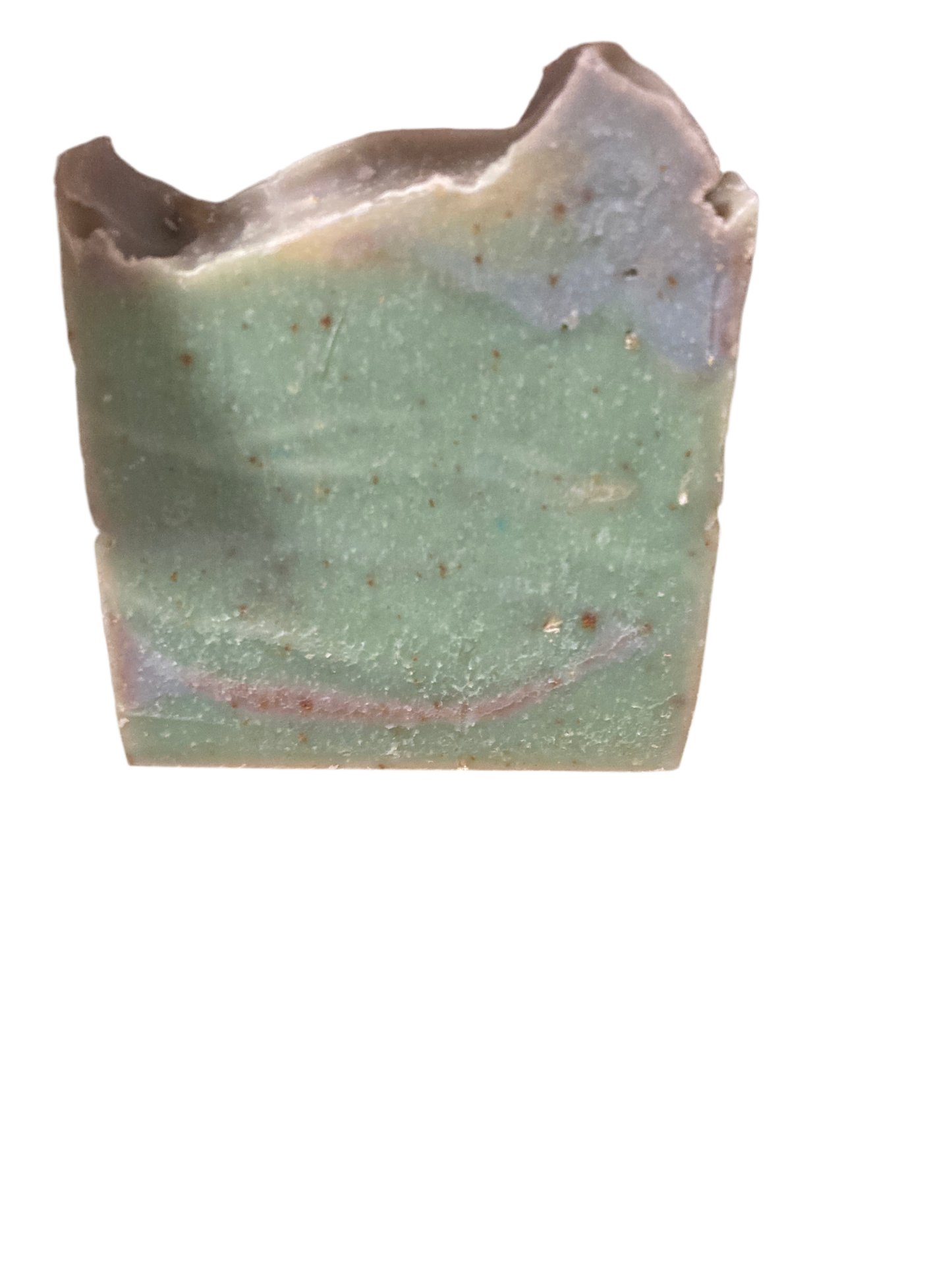 Sea moss & Coral