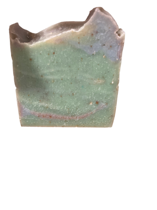 Sea moss & Coral